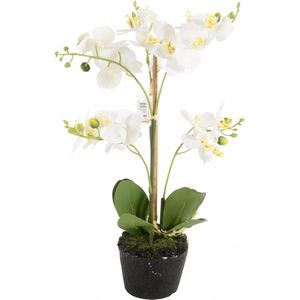 Kunstplant orchidee mini wit  - 3 tak h38cm