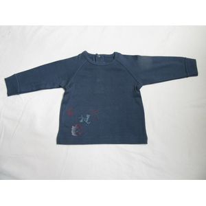 Petit bateau - Jongen - T shirt lange mouw - Blauw - 6 maand 67