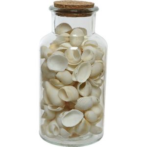 Decoris Deco schelpen in glazen pot - D8 x H16 cm - wit