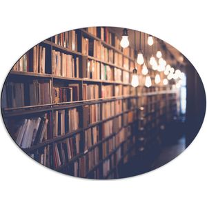 Dibond Ovaal - Rij Lampje langs Gevulde Boekenkast - 68x51 cm Foto op Ovaal (Met Ophangsysteem)