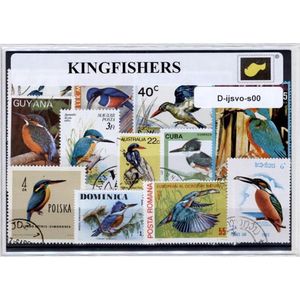 Ijsvogels - Luxe postzegel pakket (A6 formaat) : collectie van verschillende postzegels van Ijsvogels – kan als ansichtkaart in een A6 envelop, authentiek cadeau, kado tip, geschenk, kaart, vogels, ijs vogel, vogel spotten, winter, natuur