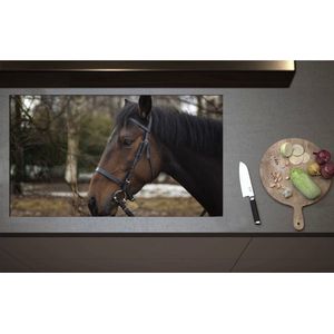 Inductieplaat Beschermer - Bruin paard met halster om buiten - 95x55 cm - 2 mm Dik - Inductie Beschermer - Bescherming Inductiekookplaat - Kookplaat Beschermer van Zwart Vinyl