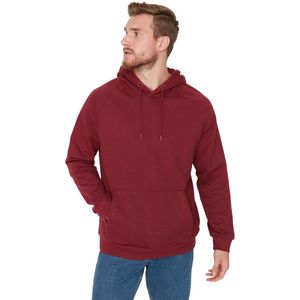 Trendyol Claret Red Regular/Normal Cut Fleece/Warm Sweatshirt Met Capuchon Tmnaw23Sw00194