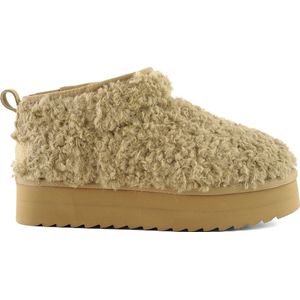 Colors of California Boots – Teddy EnkelLaarzen - Cognac - Maat 37