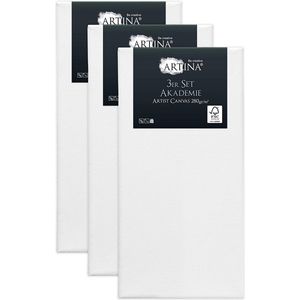 Artina Set van 3 Schildersdoeken 50x100 cm - FSC® Schildersdoek 3 Stuks - Akademie Canvas Dubbel Geprimed Spieraam Wit