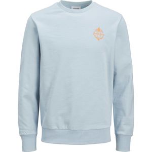 JACK&JONES - JJONE COLOR SUMMER SWEAT CREW NECK - Heren - Sweaters