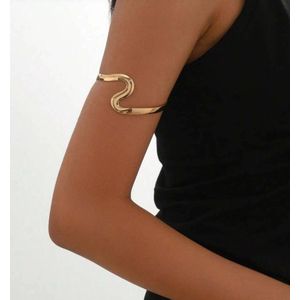 armband - bovenarmband - armband met slangendesign - sieraden - armband mannen - ketting - oorbellen - cadeau - sjaaltje - pasen - koningsdag - koningsdag accessoires - koningsdag kleding - trendy - moederdag - moederdag cadeautje