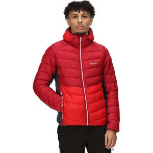 Men's Sports Jacket Regatta Harrock Red