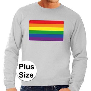 Grote maten regenboog vlag sweater grijs -  plus size lgbt sweater voor heren - gay pride XXXL