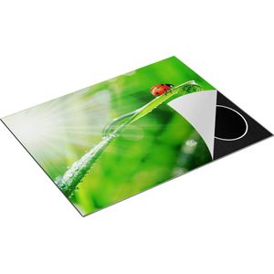 Chefcare Inductie Beschermer Lieveheersbeestje op een Grasspriet - 77x59 cm - Afdekplaat Inductie - Kookplaat Beschermer - Inductie Mat