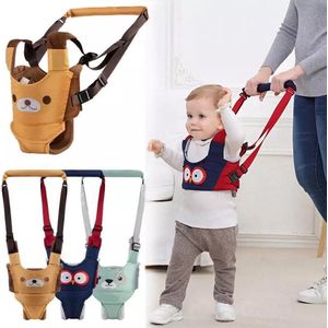 Baby Walker Assistant | Loopstoel | Looptrainer | Loopwagen | Kraamcadeau | Babyshower Cadeau Jongens en Meisjes - Blauwrood