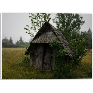 WallClassics - PVC Schuimplaat - Products - 40x30 cm Foto op PVC Schuimplaat (Met Ophangsysteem)
