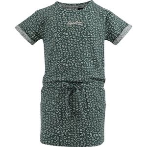 Cobie - Jurk - Groen Cheetah