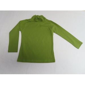 Sous pull - Trui - Meisje - Groen - Effen - 3 jaar 98