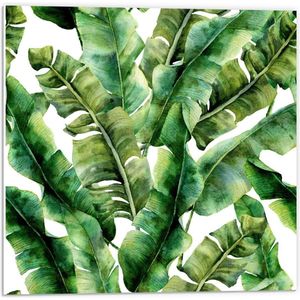 Forex - Collage van Groene Palmbladeren - 50x50cm Foto op Forex