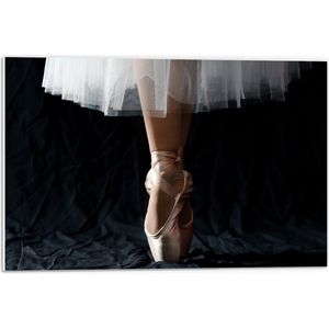 PVC Schuimplaat- Ballerina - Balet - Schoenen - Dansen - 60x40 cm Foto op PVC Schuimplaat
