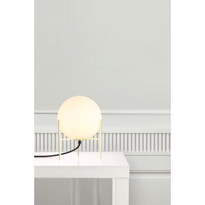 NORDLUX |Alton 20 | Table lamp | Brass