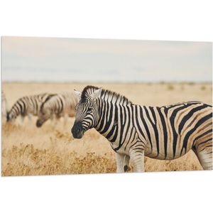 Vlag - Groep zebras in de savanne - 120x80 cm Foto op Polyester Vlag