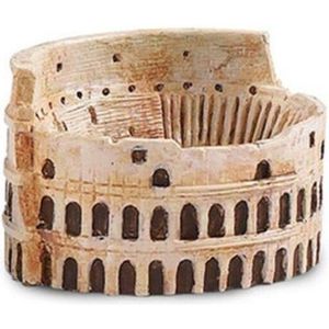Colosseum Junior 5 Cm Bruin
