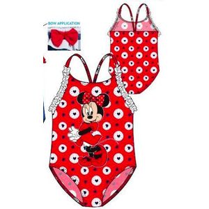 Minnie Mouse BABY badpakje Maat 36 maanden