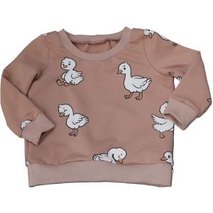 Sweater eendjes mt 74/80