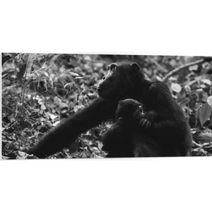 WallClassics - PVC Schuimplaat- Chimpansee Moeder met haar Jong (zwart- wit) - 100x50 cm Foto op PVC Schuimplaat