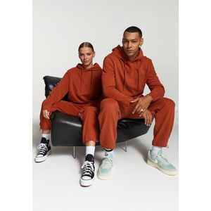 Shiwi Hoodie Flight plan - cognac - L