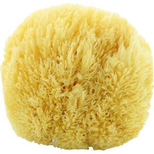 Goodivery® - Badspons - Natuurlijke spons Grass, extreem zachte badspons uit het Middellandse Zeegebied - DERMATEST: ZEER GOED - voor extra schuim - natuurlijke douchespons van topkwaliteit - Zero Waste (15-16 cm)