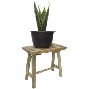 Outdoor plant stand tall - België