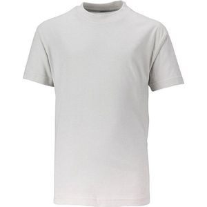 James and Nicholson Kinderen/Kinderen Basic Tee (Grijze Heide)