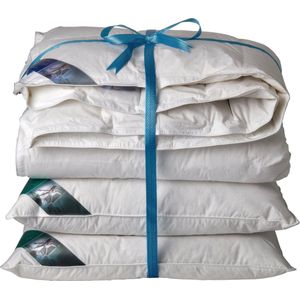 Ten Cate Dekbed - Dekbed 240x220 - dekbedden - 4 seizoenen dekbed - 60% eendendons - inclusief 2 eendenveren hoofdkussens