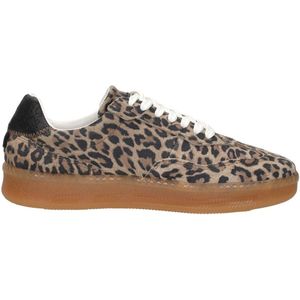 Steve Madden - Euphoria - Sneakers - All-over Look