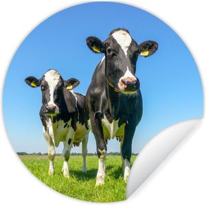 Behangcirkel - Koeien - Koe - Dieren - Natuur - Weiland - Woondecoratie - Rond behang - Behangcirkel dieren - ⌀ 30 cm - Zelfklevend behang - Behangsticker - Behang zelfklevend