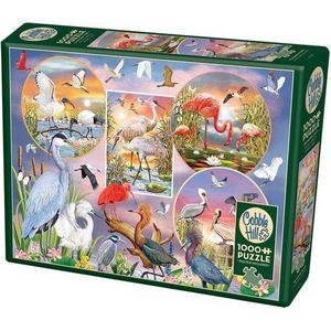 Cobble Hill puzzle 1000 pieces - Waterbird Magic