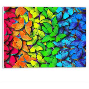 Forex - Regenboogkleurige Vlinders - 40x30cm Foto op Forex