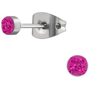 Aramat jewels ® - Titanium oorbellen rond titanium roze zilverkleurig 3mm
