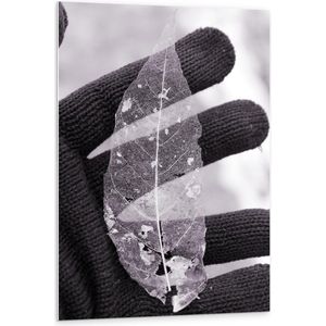 Forex - Doorzichtig Blad op Handschoen - 80x120cm Foto op Forex