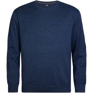 Petrol Industries - M-3050-KWR2010 - Trui