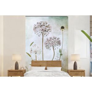 Bloemen - Sierui - Stilleven - Planten