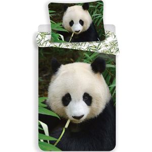 Animal Pictures Panda - Dekbedovertrek - Eenpersoons - 140 x 200 cm - Multi - Copy