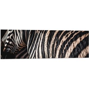 Vlag - Close-up van Strepen van een Zebra - 120x40 cm Foto op Polyester Vlag