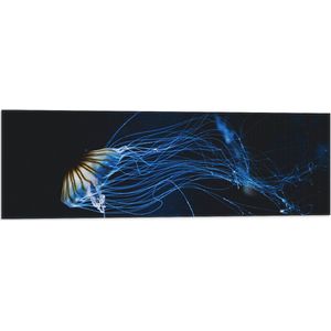 WallClassics - Vlag - Geel met Blauwe Kwal onder Water - 90x30 cm Foto op Polyester Vlag
