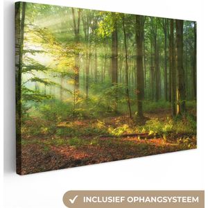 Canvas - Natuur - Muurdecoratie - 90x60 cm - Zon - Bladeren - Boom