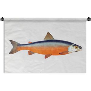 Wandkleed Vissen - Oranje zalm vis op een witte achtergrond Wandkleed katoen 180x120 cm - Wandtapijt met foto XXL / Groot formaat!