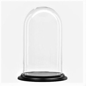 Glazen stolp met zwart houten voet H 45 cm x D 26 cm