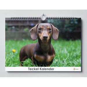 Teckel Kalender - Verjaardagskalender - 35x24cm - Huurdies