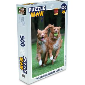 Puzzel Twee honden spelen met bal - Legpuzzel - Puzzel 500 stukjes