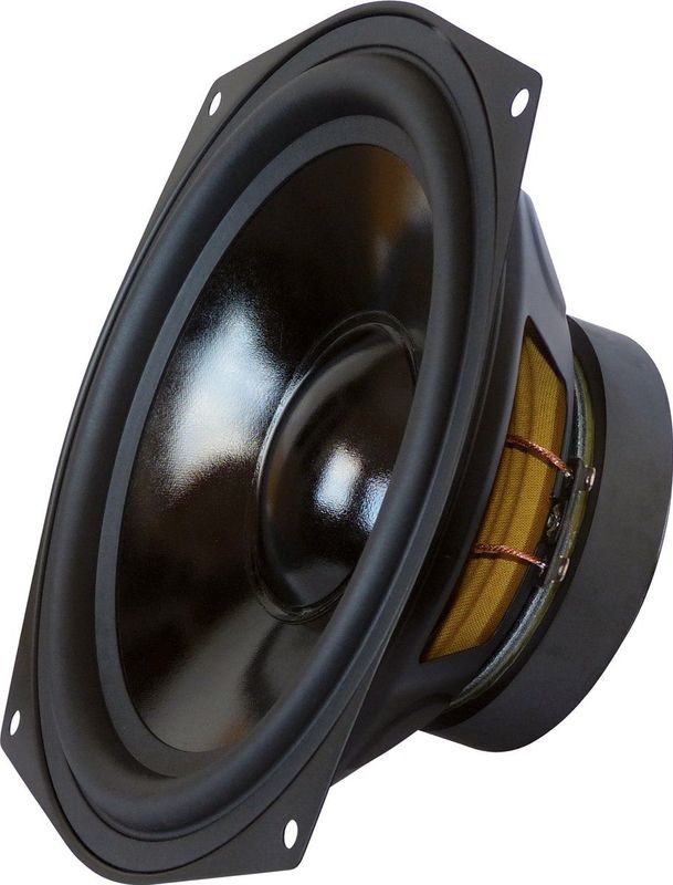 Dynavox - 206160 - Woofer - 20 cm - 100 W - 8 Ω - Polypropyleen Membraan