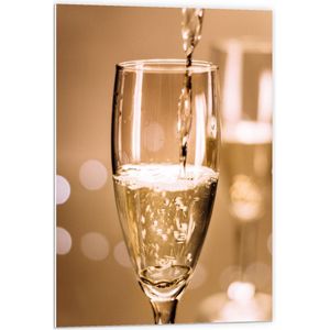 Forex - Champagneglas - 60x90cm Foto op Forex