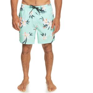 Quiksilver Everyday Mix Volley 17 Zwembroek Groen S Man